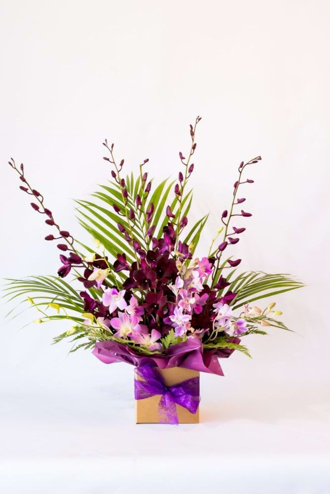 Seasonal Orchid Arrangement